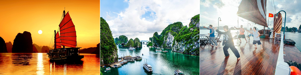 2-Grid-Halong-1